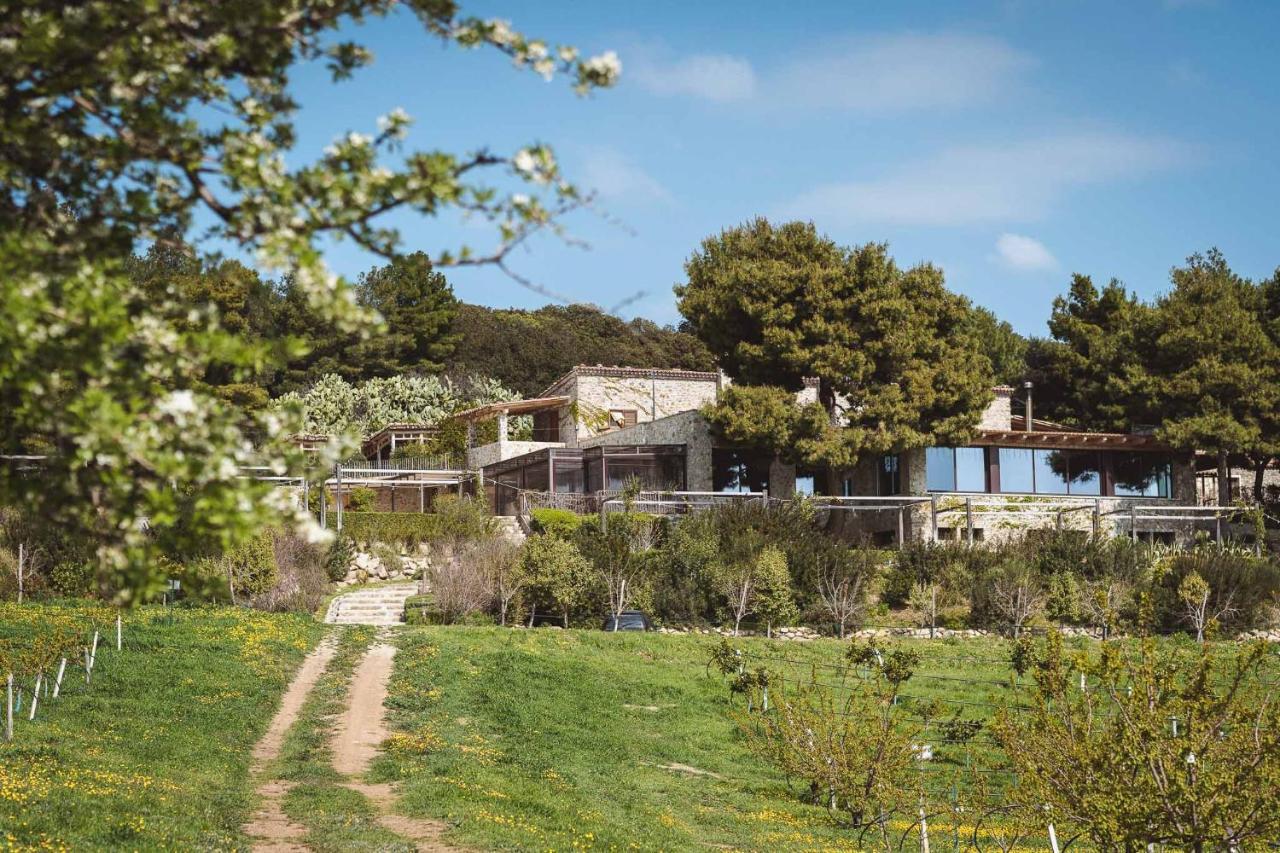 Masseria Agriturismo Torre Di Albidona Trebisacce Εξωτερικό φωτογραφία
