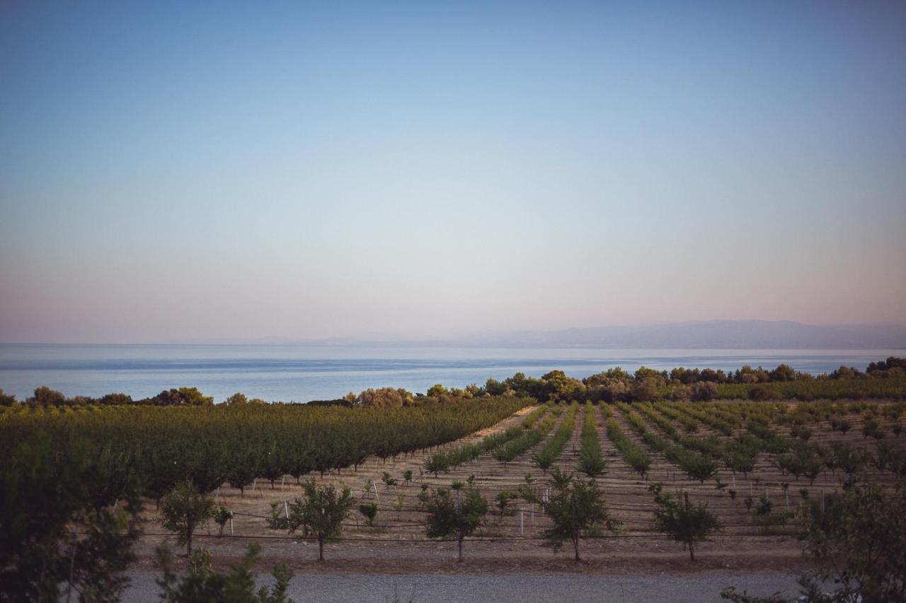 Masseria Agriturismo Torre Di Albidona Trebisacce Εξωτερικό φωτογραφία